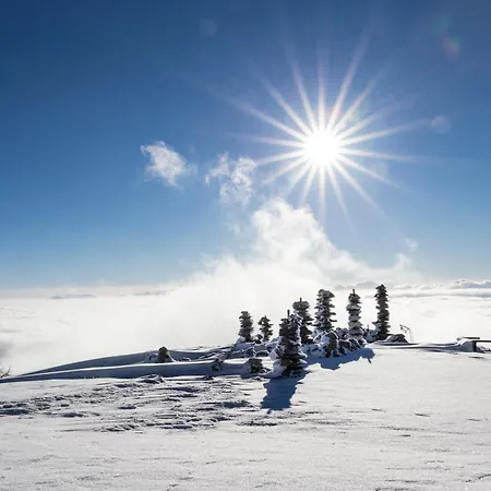 Hotel Seehotel Hoffmann Steindorf am Ossiacher See