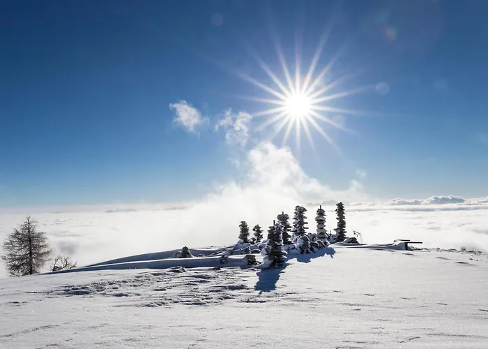 Hotel Seehotel Hoffmann Steindorf am Ossiacher See